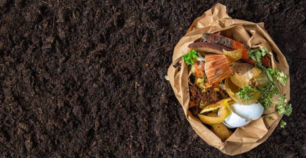 compost-612